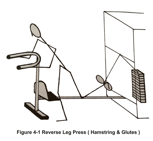 What are the Best Hamstring Exercises for Sprinting?